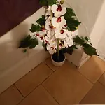 White شقة فيوتشيتشيو