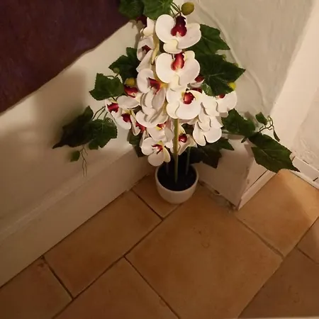 White Apartment Fucecchio