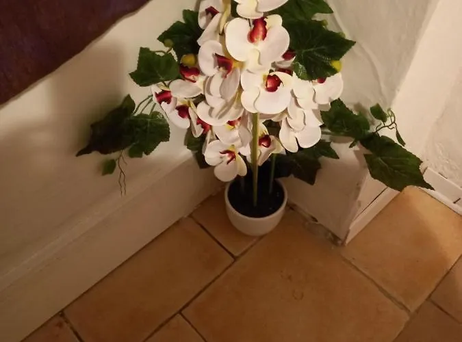 White Lägenhet Fucecchio